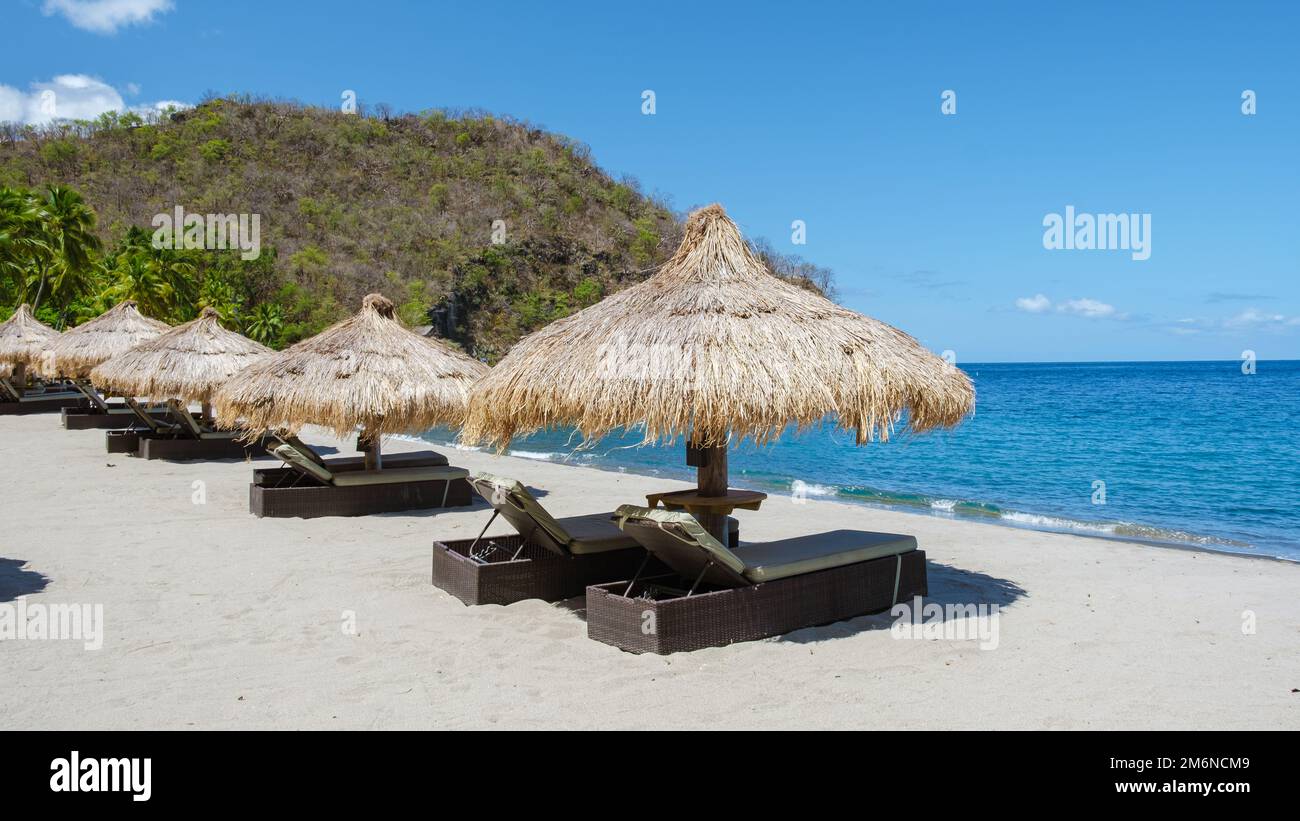 Beach chairs and umbrellas on a tropical beach at St lucia, white beach with palm trees Caribbean Stock Photo