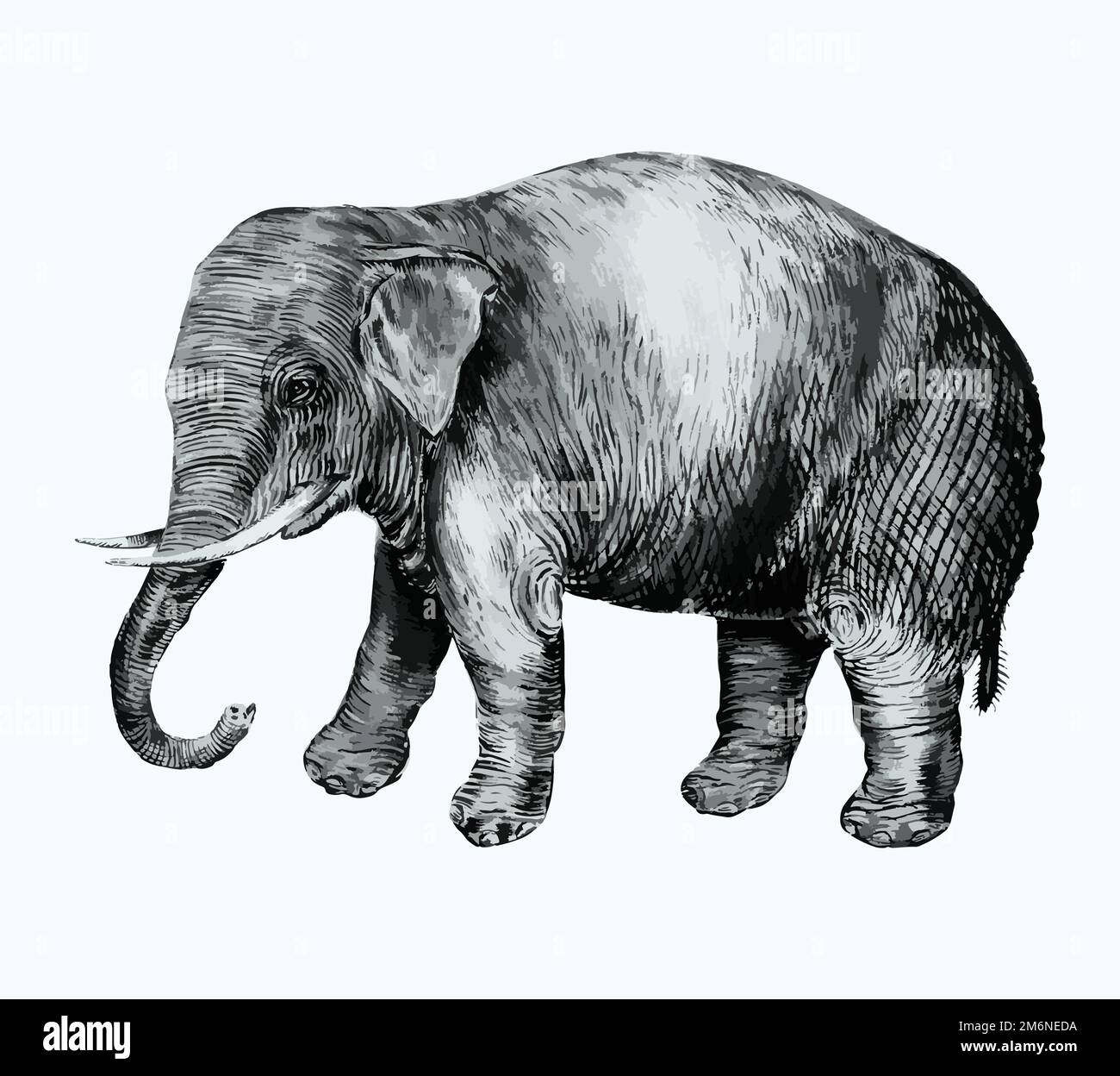 Vintage Asian elephant illustration in vector Stock Vector