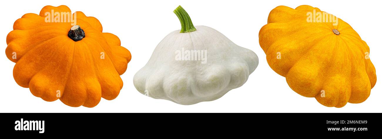 Pattypan squash isolated on white background Stock Photo