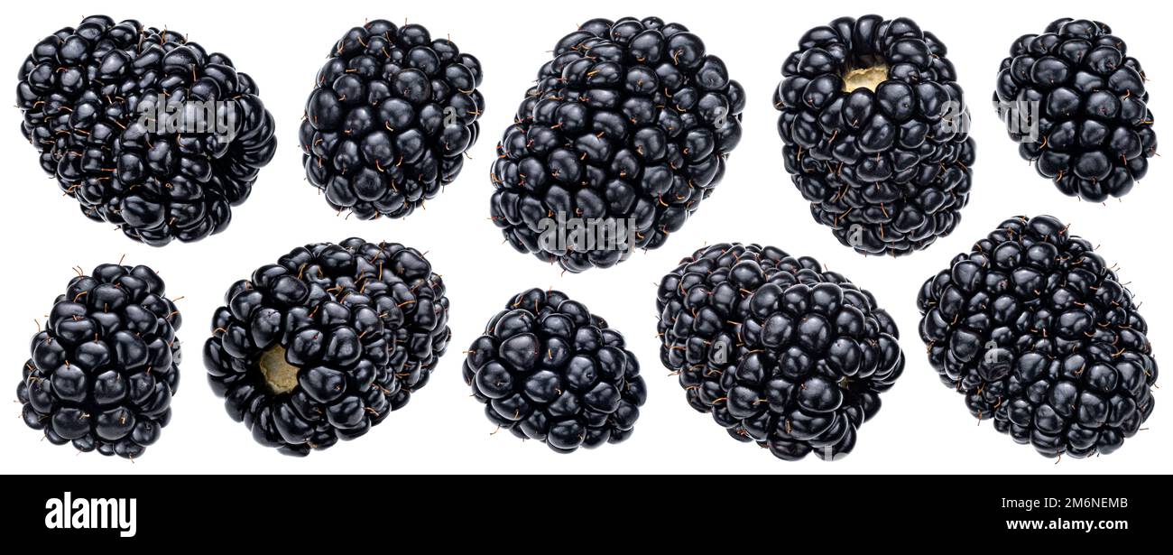 Blackberry isolated on white background with clipping path Stock Photo
