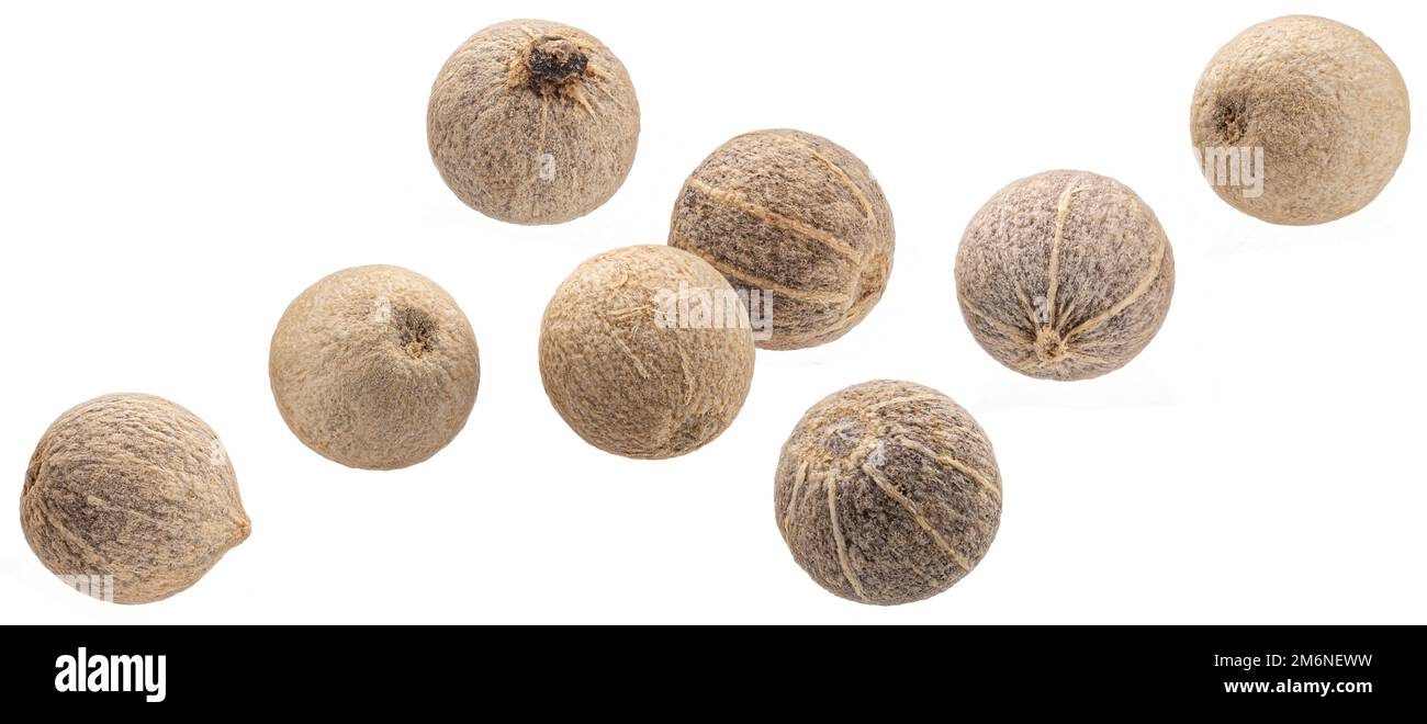 Falling white peppercorns isolated on white background Stock Photo
