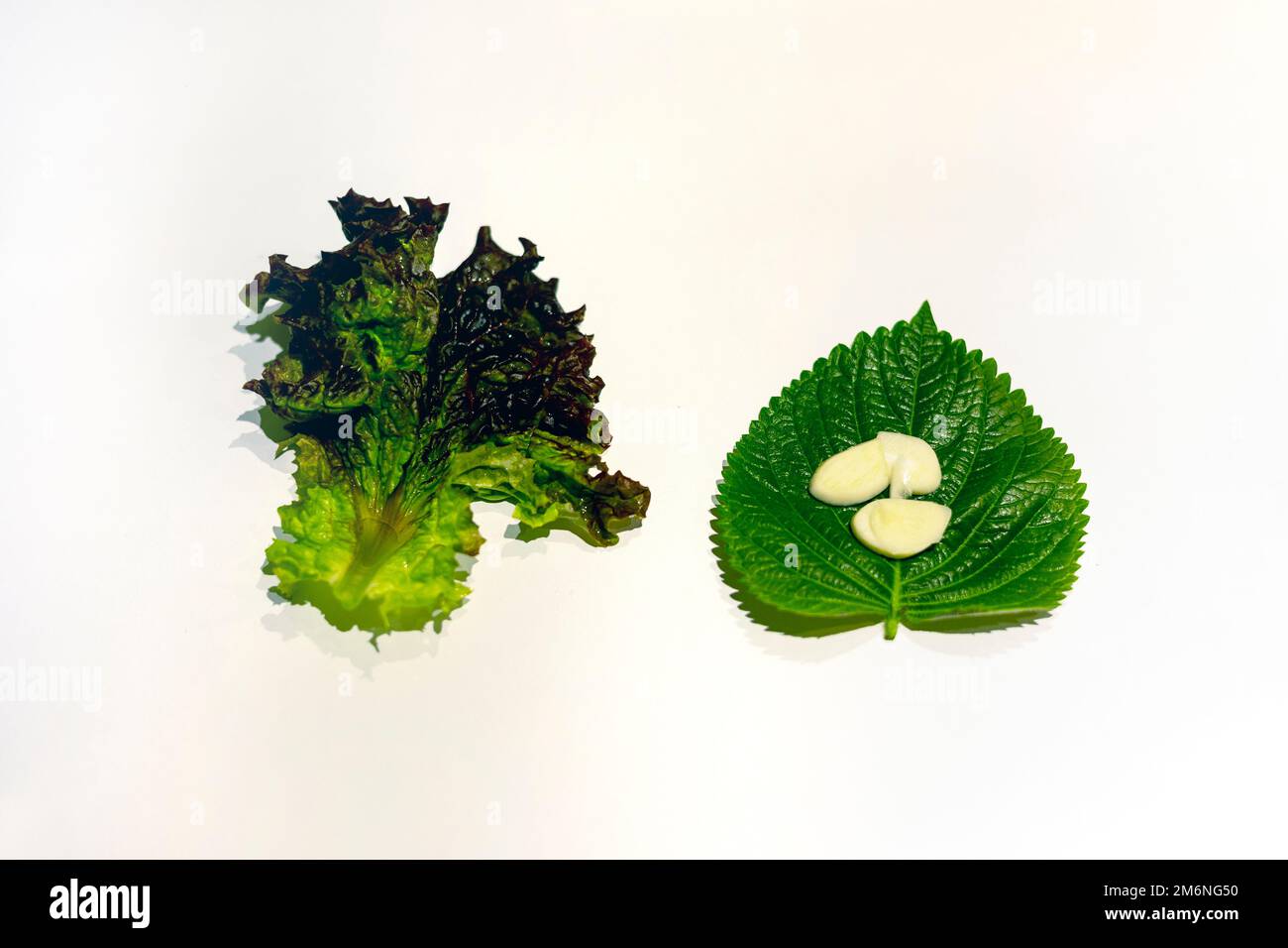 Fresh lettuce and sliced garlic on the fresh sesame leaf Stock Photo