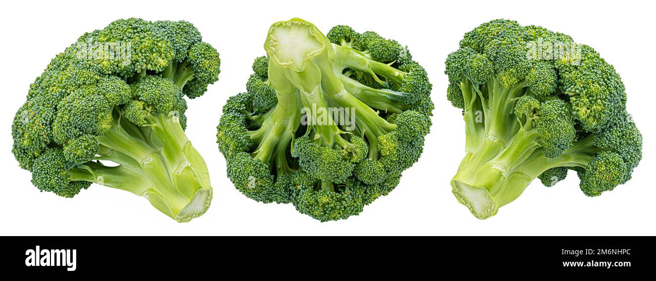 Broccoli isolated on white background with clipping path Stock Photo