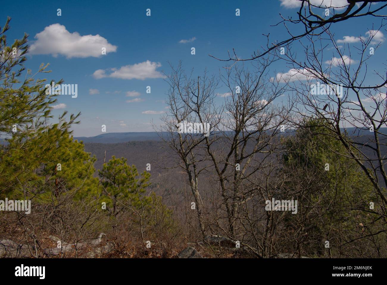 A view from the Standing Stone Trail in central Pennsylvania Stock