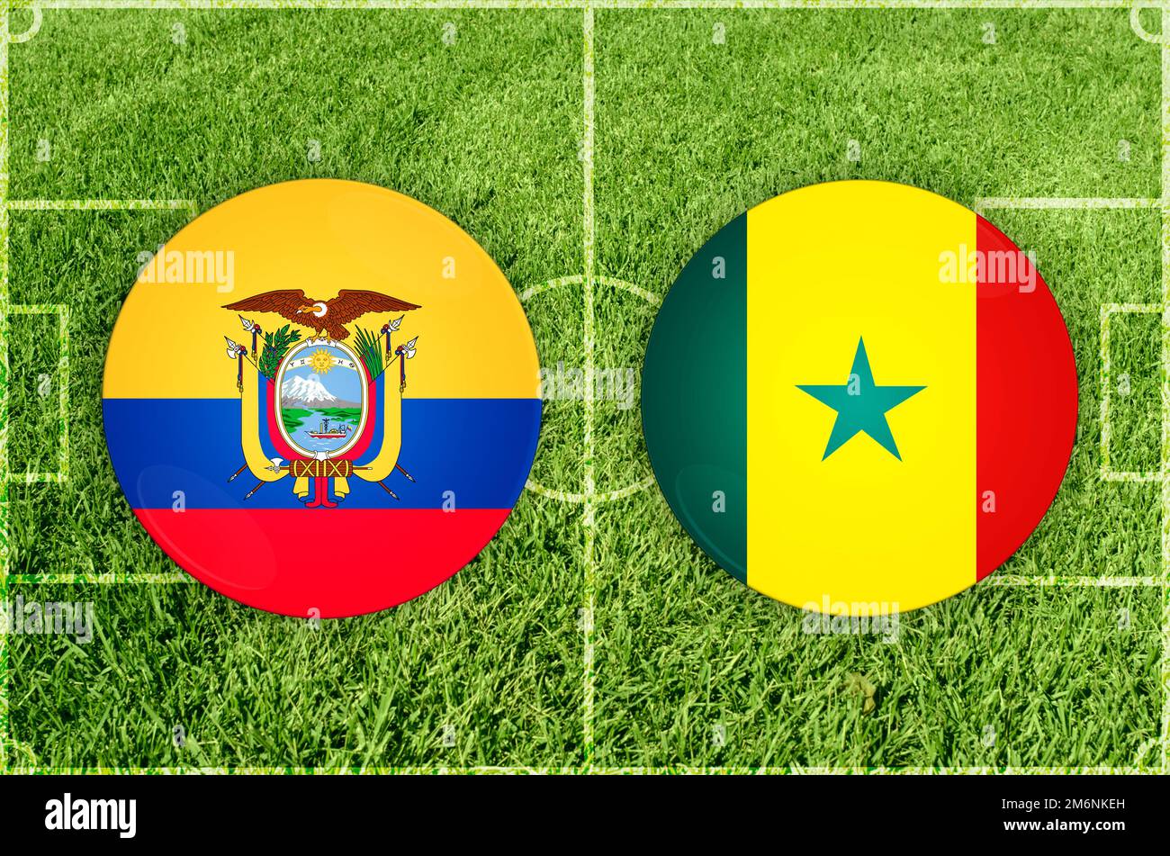 Ecuador vs Senegal football match Stock Photo Alamy