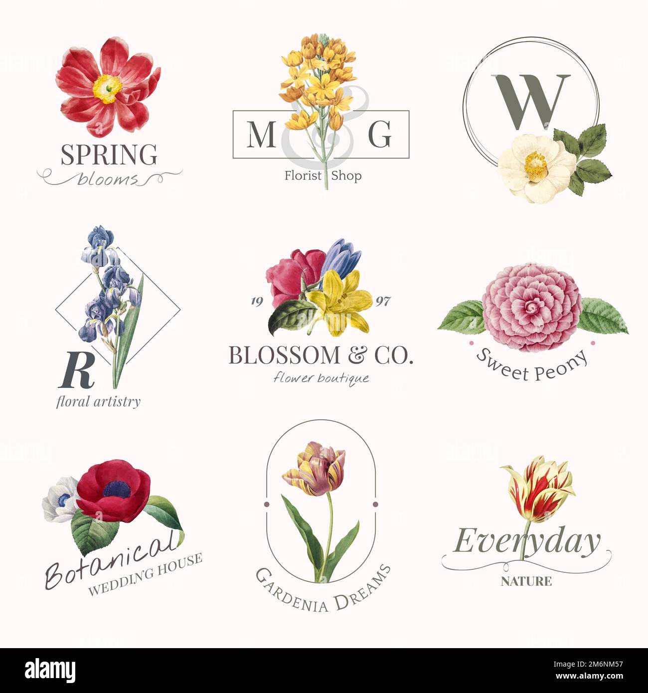 Flower boutique logo collection vector Stock Vector