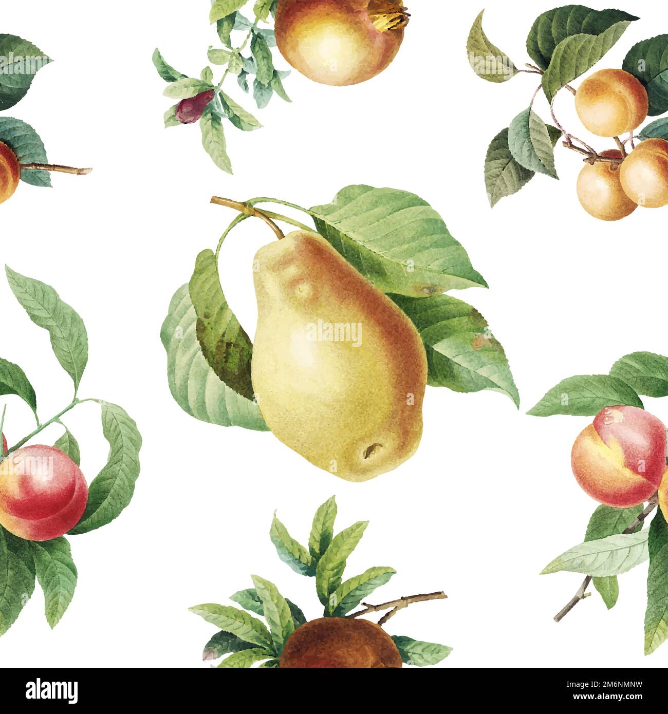 Hand drawn fruits wallpaper vector Stock Vector