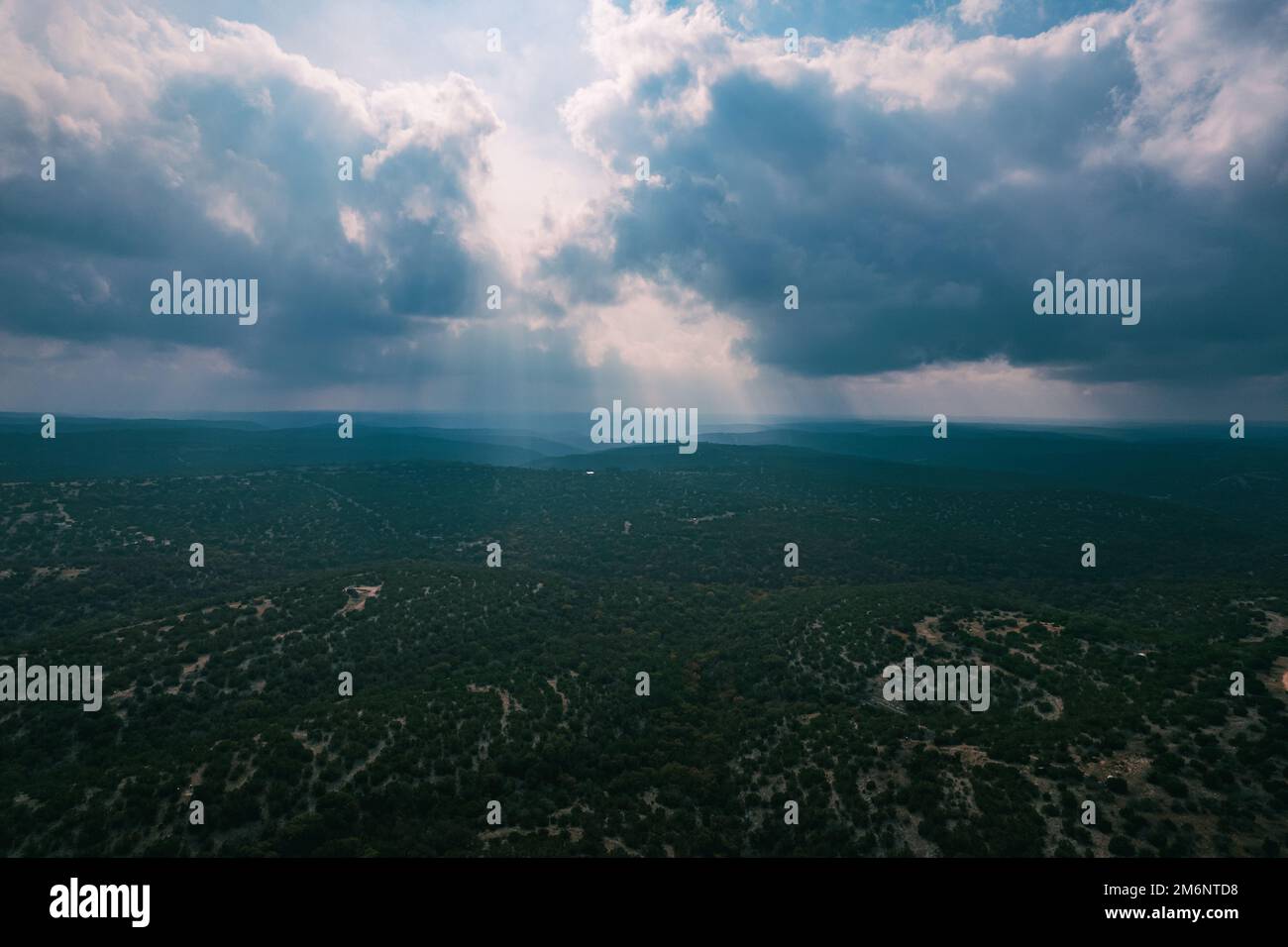 An aerial view of forest with dense trees Stock Photo - Alamy