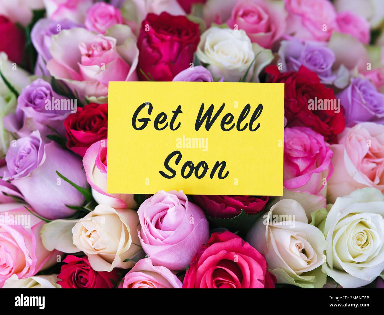 A yellow greeting card with words Get Well Soon laying on a big bouquet of colorful roses Stock Photo