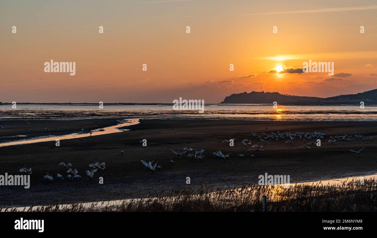 An aerial view of sea during sunset Stock Photo - Alamy