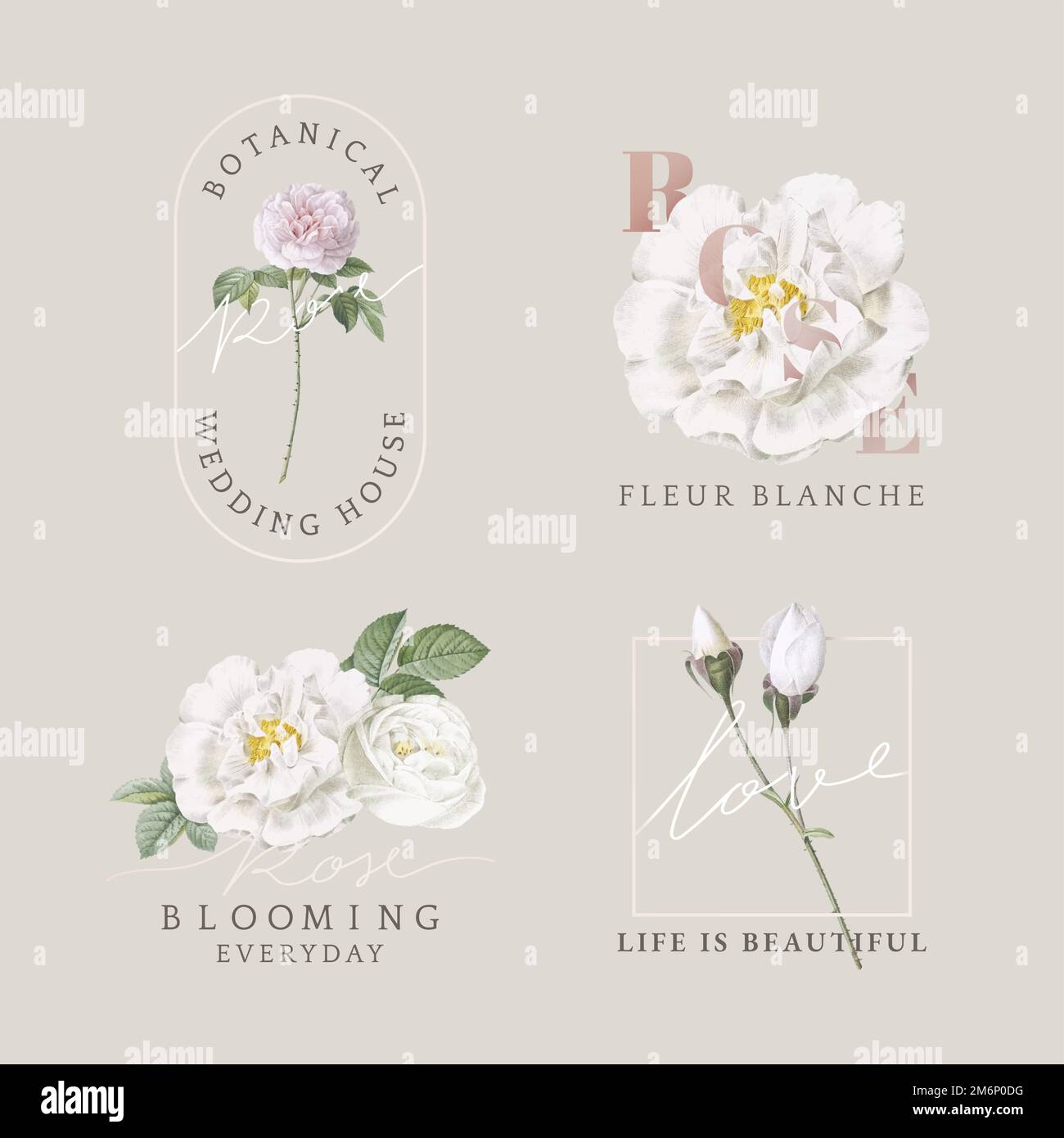 Florist branding logo collection vector Stock Vector