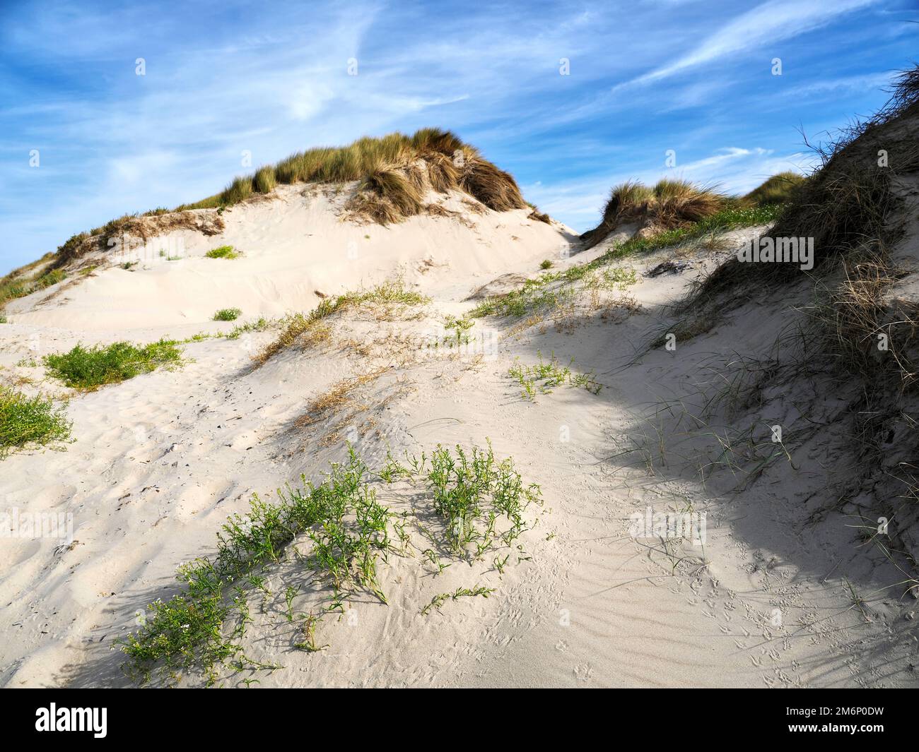 Dunes at Fort Mahon, a commune in the Somme department in Hauts-de-France in northern France. Stock Photo
