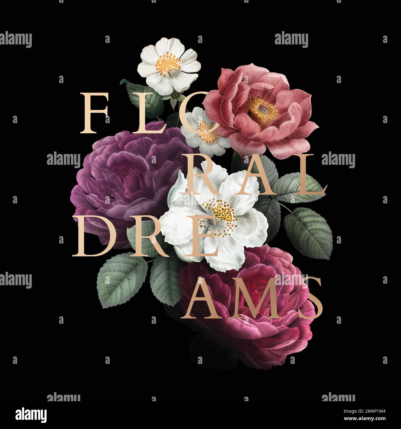 Dream Roses Romantic floral dreams rose drawing vector Stock Vector Image & Art - Alamy