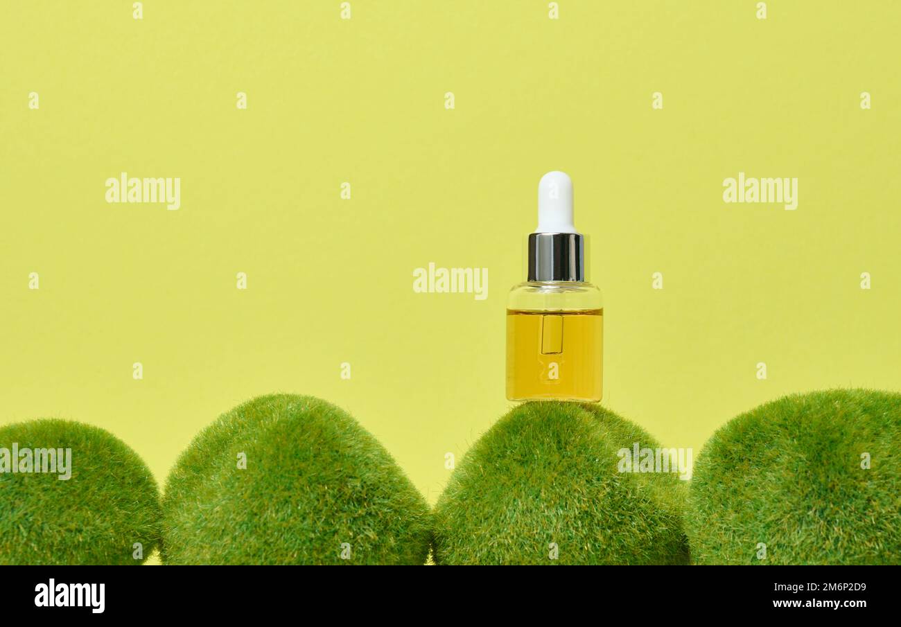 Glass transparent bottle with pipette and yellow oil on green moss. Stock Photo