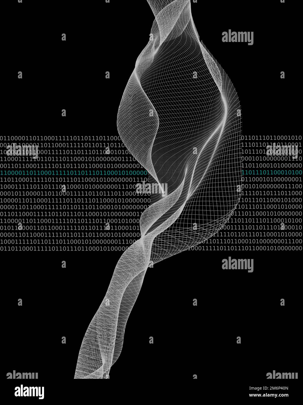 COMPUTING CONCEPT: Catching the Code Stock Photo - Alamy