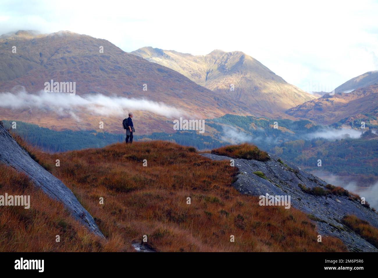 Lone Man (Hiker) Looking at the Scottish Mountain Corbett 'Streap' on Route to 'Sgorr Craobh a' Chaorainn' near Glenfinnan in the Scottish Highlands. Stock Photo