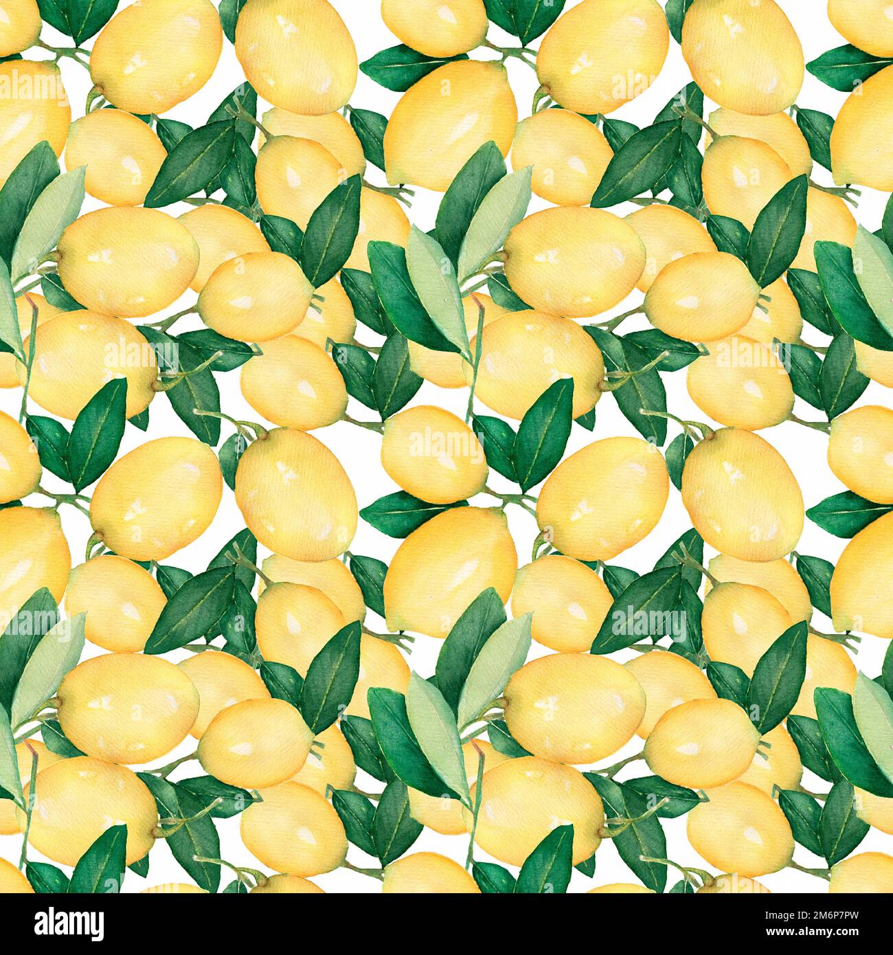 Watercolor seamless pattern with lemons. Hand painted citrus ornament ...