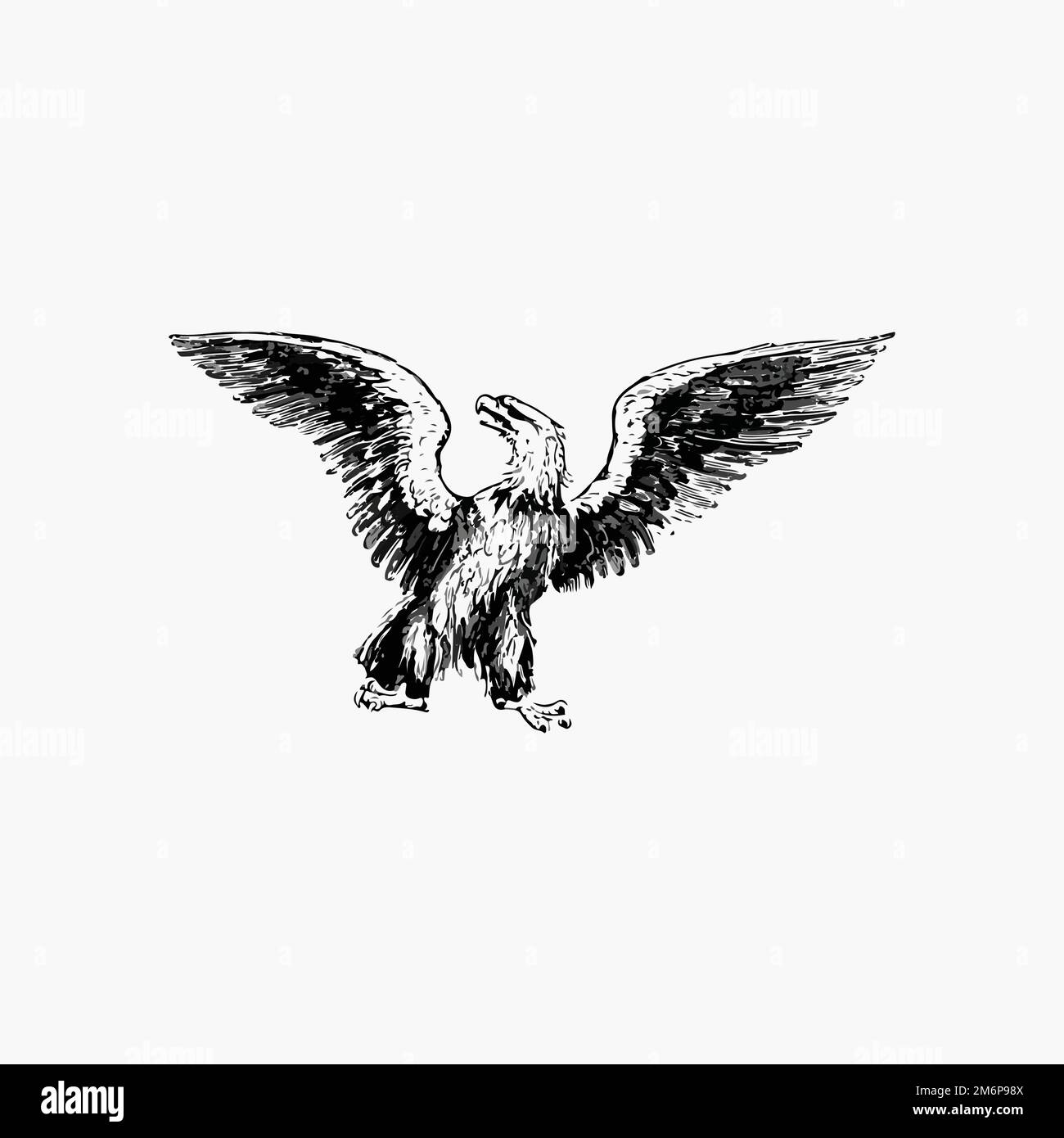 Flying eagle illustration vector Stock Vector Image & Art - Alamy