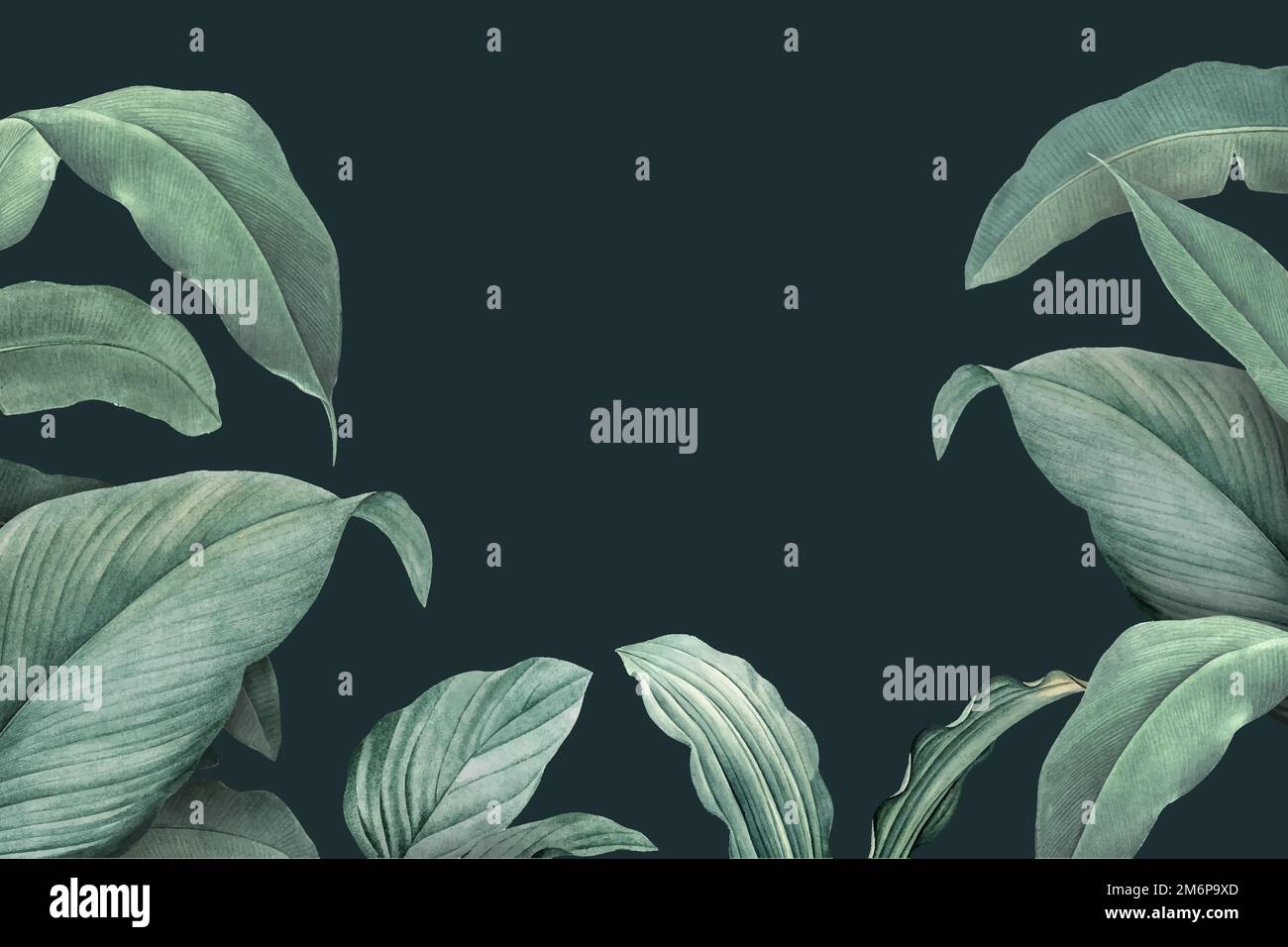 Hand drawn tropical leaves on a dark green background vector Stock ...