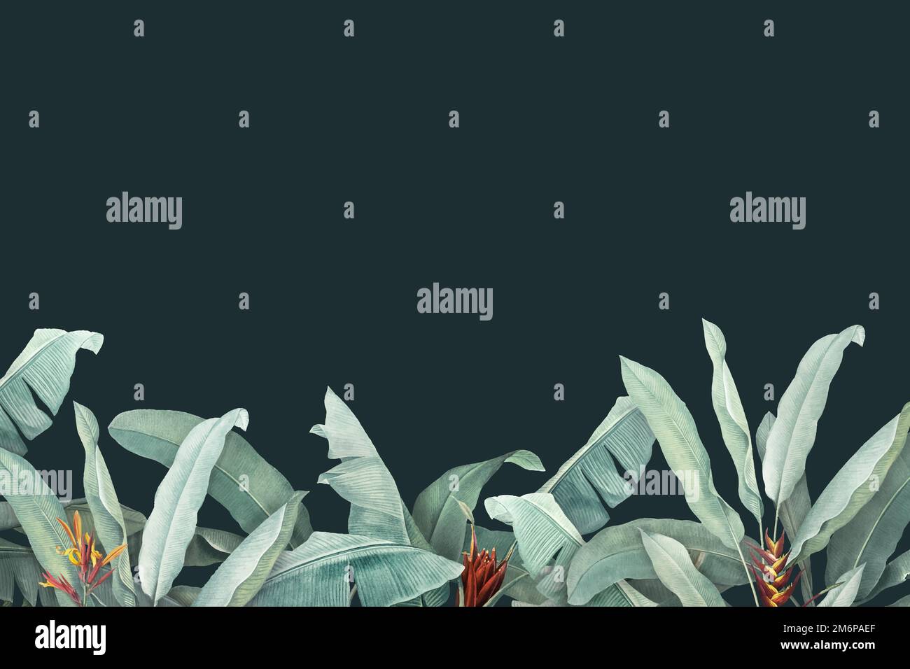 Hand drawn tropical leaves on a dark green background vector Stock ...