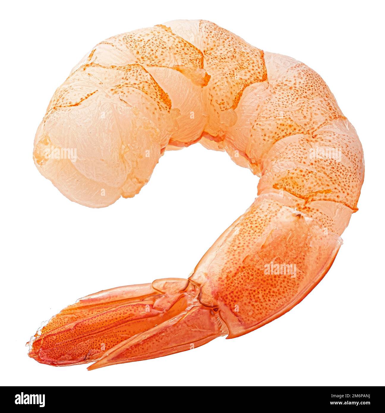 Shrimp Prawn Fresh Prawn On Hi res Stock Photography And Images Alamy difference-between-prawn-vs-shrimp-taste-at-patrick-drago-blog