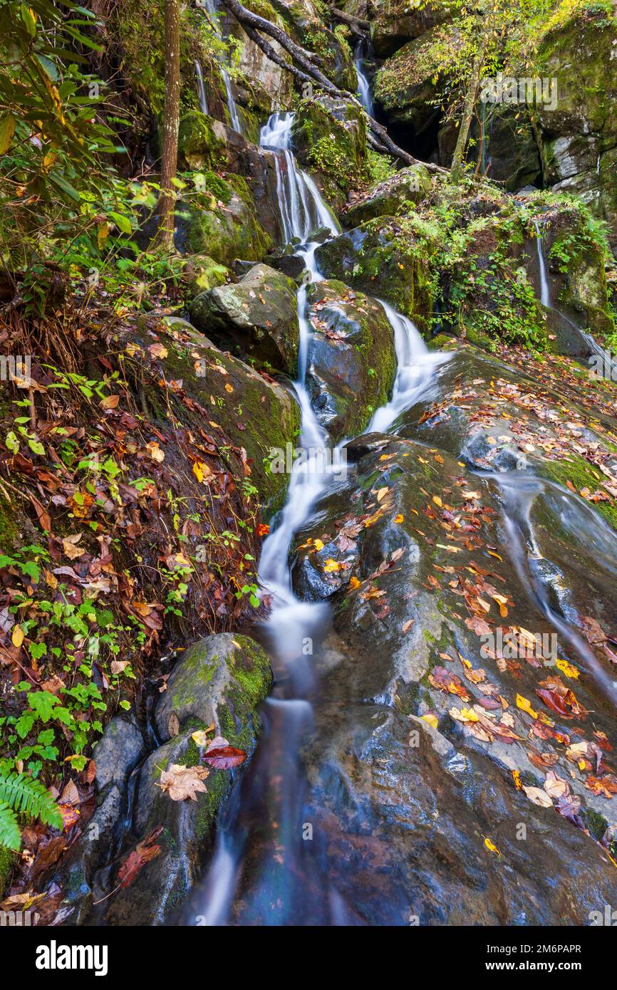 The Place of a Thousand Drips in Great Smoky Mountains National Park