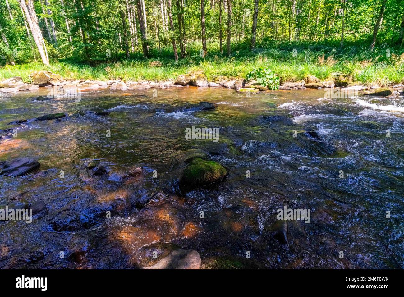 Hiking on along the Ilz River between the Schrottenbaum Mill and Fuersteneck in the bavarian Forests! Stock Photo