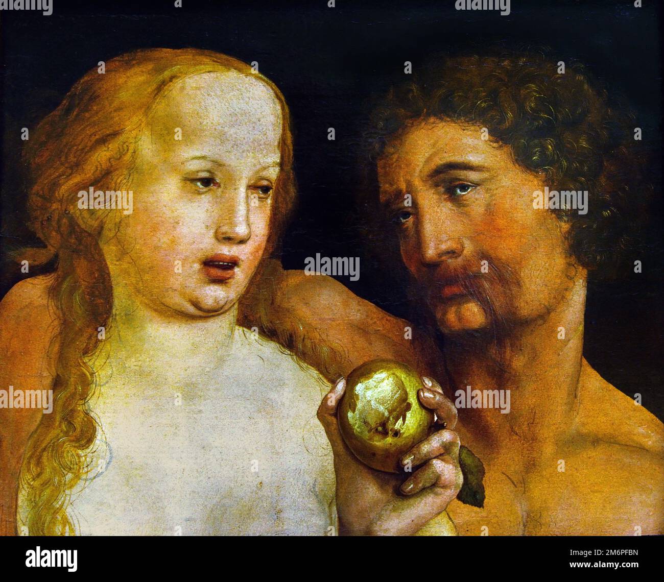 Adam and Eve 1517 by Hans Holbein (the Younger) 1497-1543, German Germany Adam and Eve, Garden of Eden, Paradise, Adam , Eve, God, Expulsion from paradise, Tree of Knowledge , Fall of Man, Apple, Snake, Stock Photo