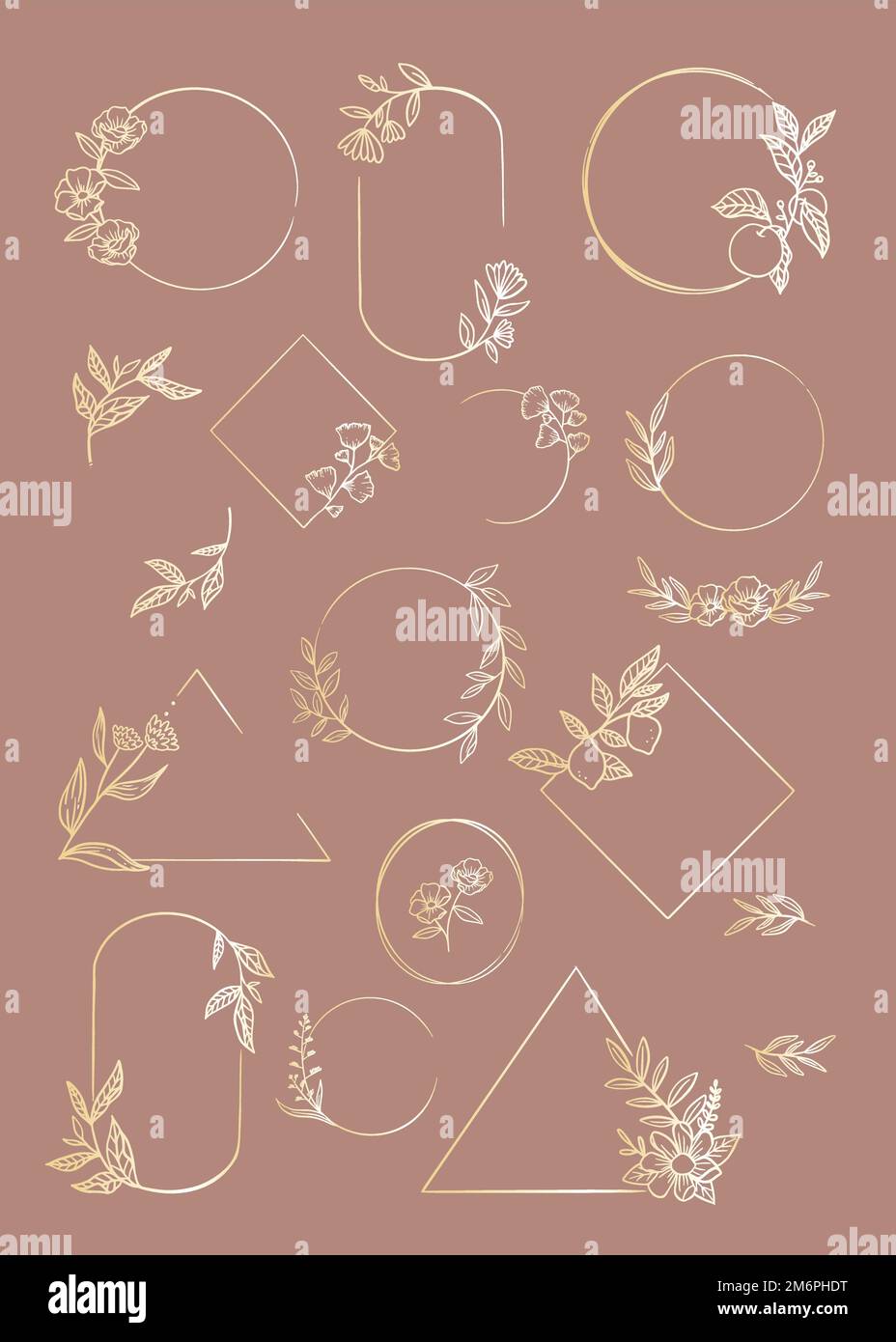 Botanical frame element vector collection Stock Vector Image & Art - Alamy