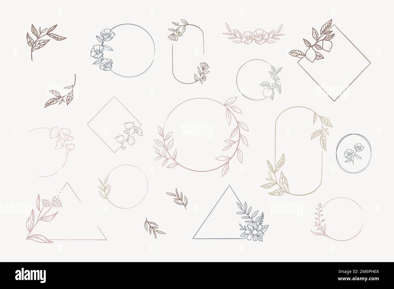 Botanical frame element vector collection Stock Vector Image & Art - Alamy