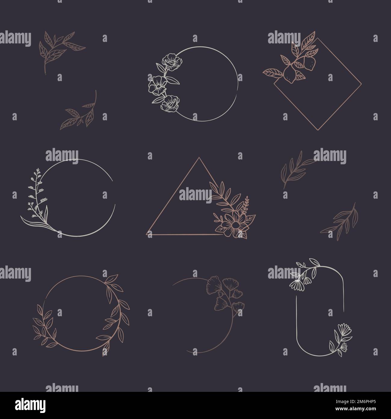 Botanical frame element vector collection Stock Vector Image & Art - Alamy