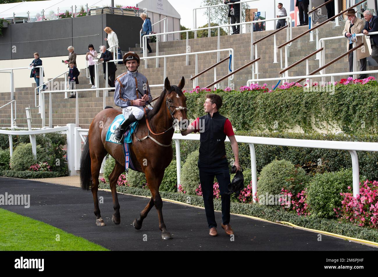 Ascot, Berkshire, UK. 1st October, 2022. Horse Summerghand ridden by jockey Daniel Tudhope came second in the John Guest Racing Bengough Stakes at Ascot Racecourse. Credit: Maureen McLean/Alamy Stock Photo