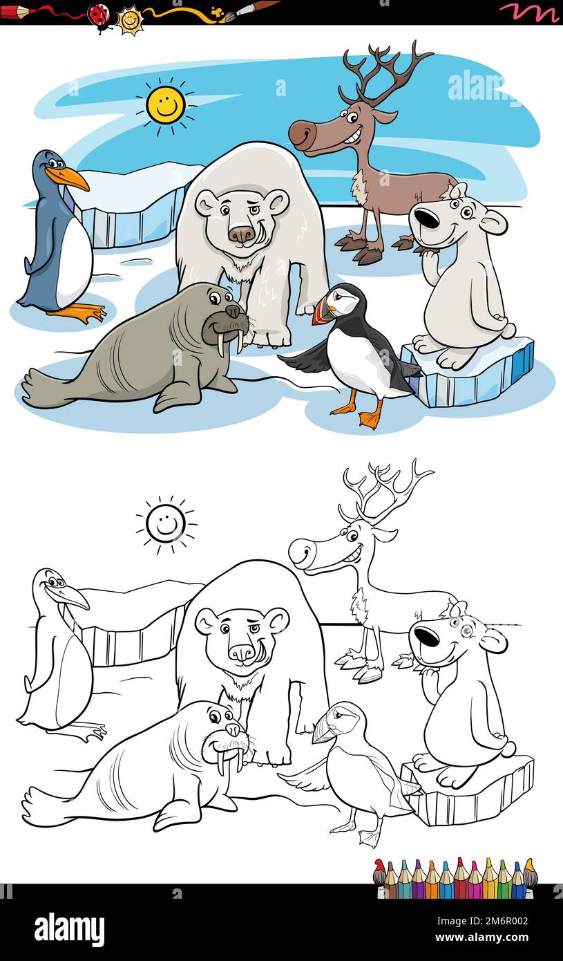 Arctic Animals Coloring Pages For Preschoolers