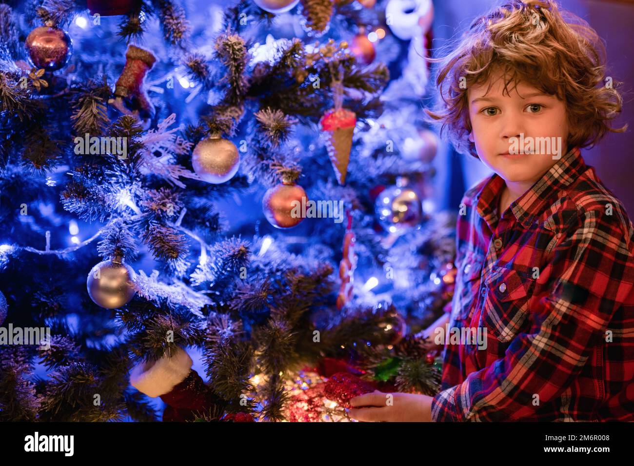 Boy near the christmas tree Stock Photo Alamy