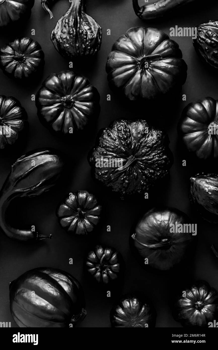 Different kinds of small pumpkins painted in black placed on dark
