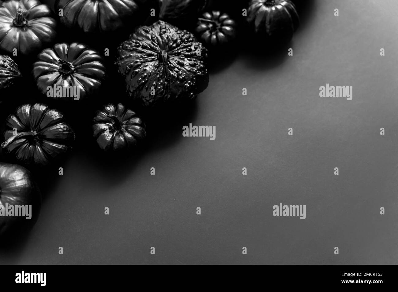 Various Kinds Cute Mini Pumpkins In Black Colour Placed Black various-kinds-cute-mini-pumpkins-in-black-colour-placed-black