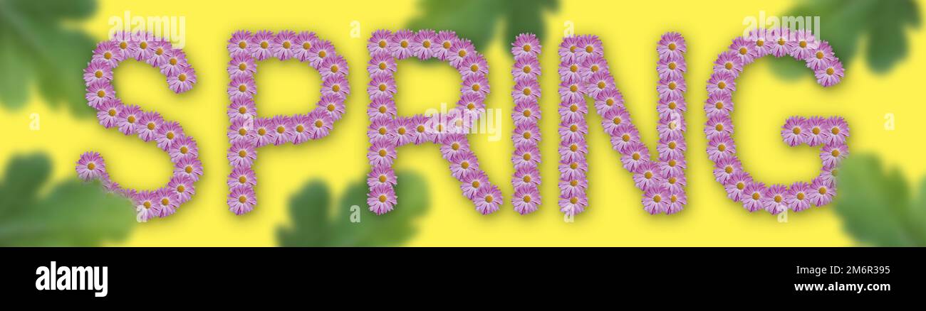 Spring word made with flowers and blurred green leaves. Banner spring ...