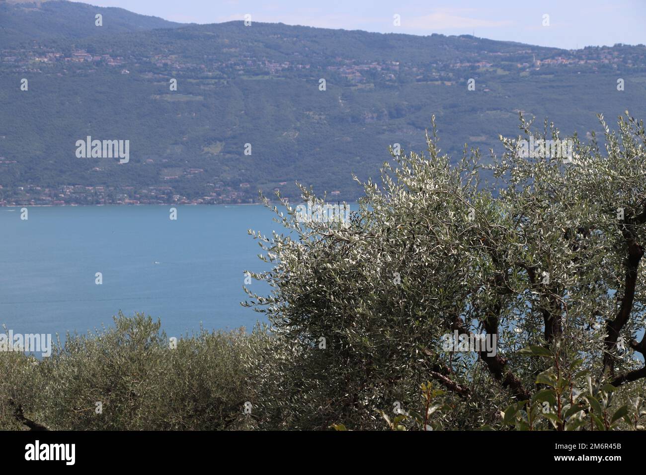Landscape of Garda lake, Italy. High quality photo Stock Photo