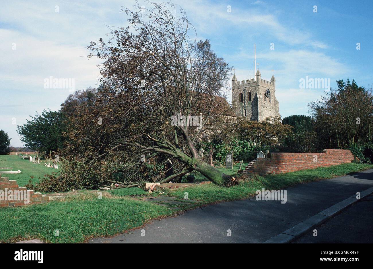 Damage from the 1987 storm at the village of Wye, near Ashford, Kent, South East England, with a collapsed wall and tree near the church Stock Photo