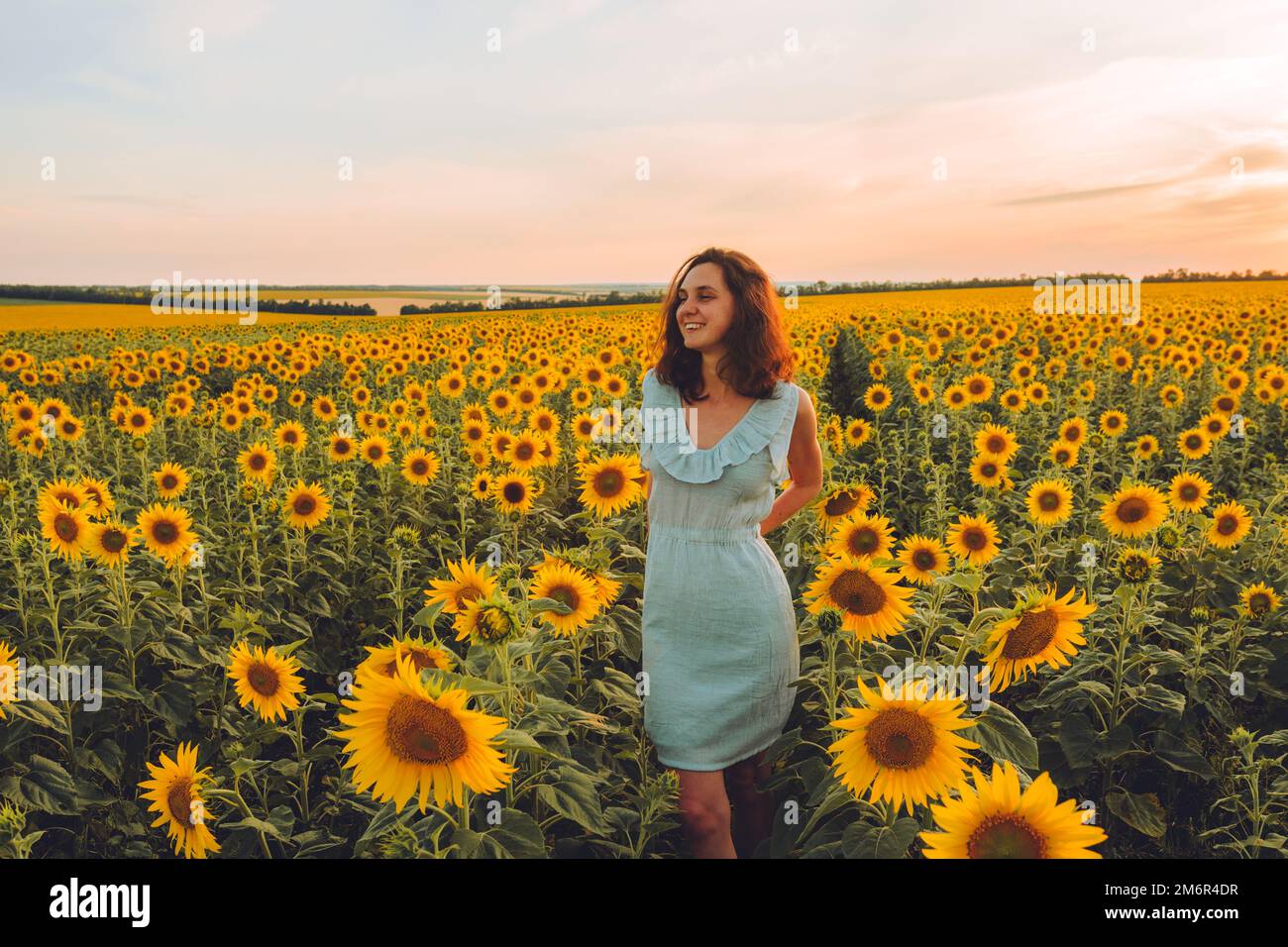 Happy young woman in blue dress in a sunflower field Stock Photo - Alamy