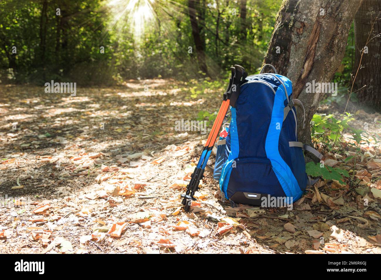 Backpack and trekking poles Stock Photo