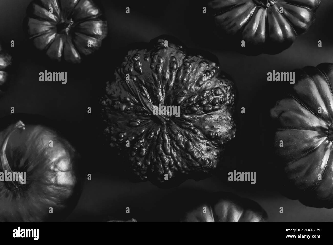 Different kinds of small pumpkins painted in black placed on dark