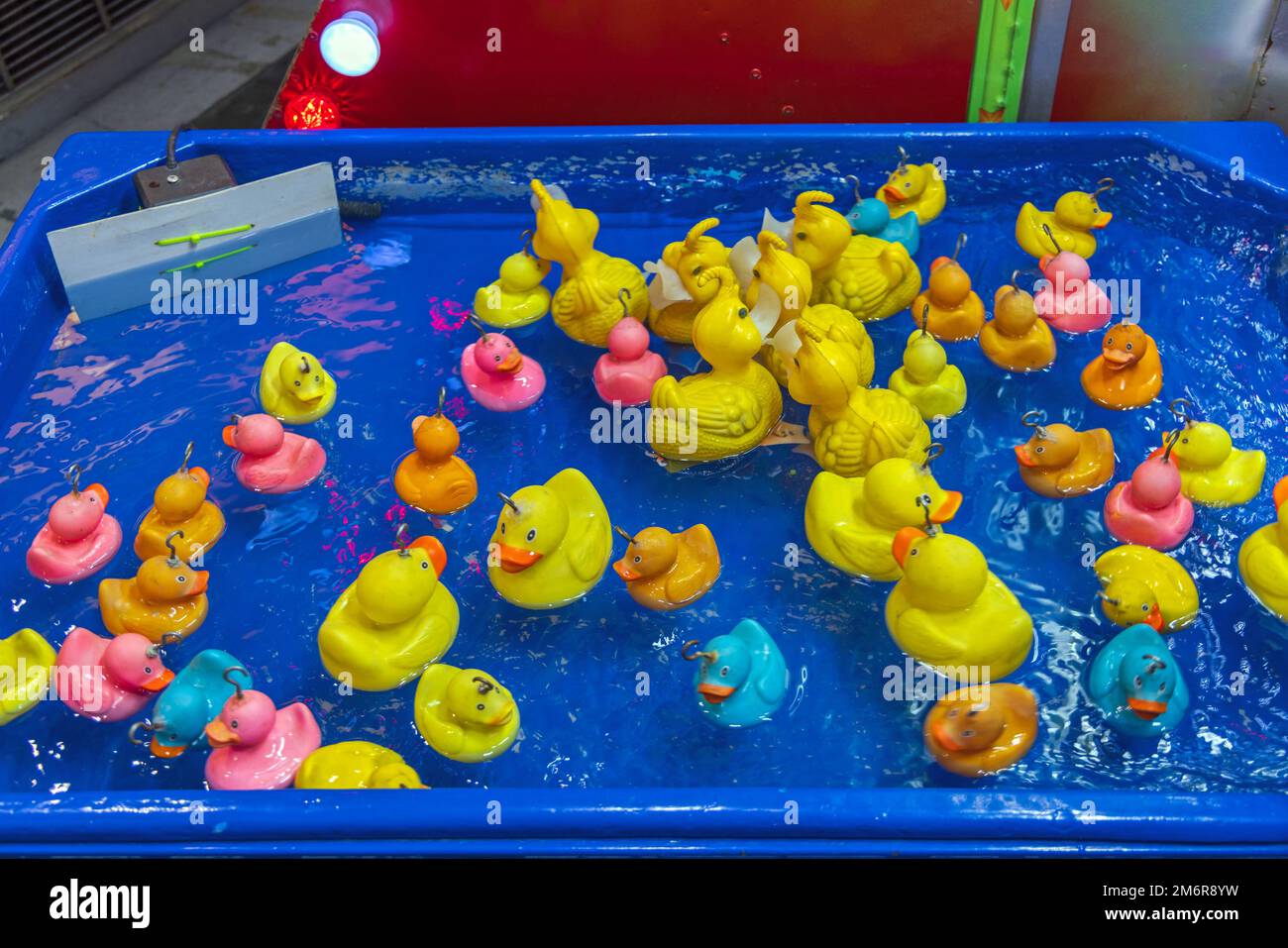 Fishing Rubber Ducks in Pool Amusement Park Fun Game Stock Photo