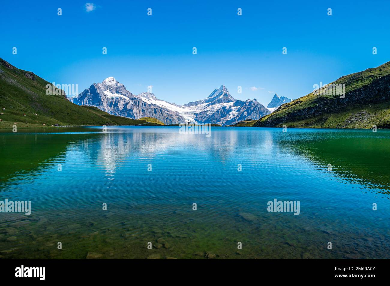 Bachalpsee in Bernese Oberland Stock Photo