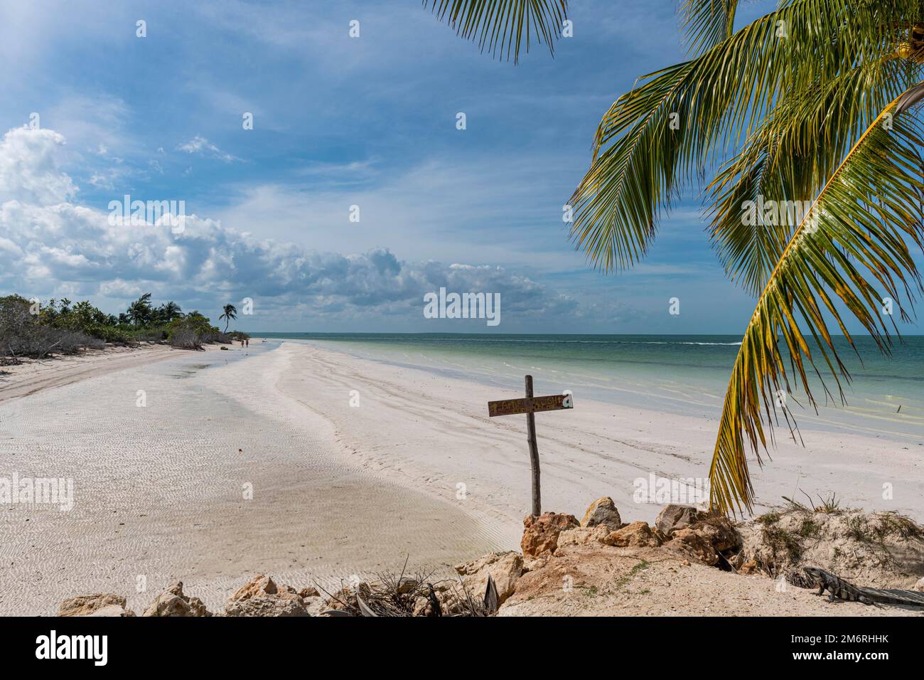 Turquoise waters and white sands of Holbox island, Yucatan Mexico Stock