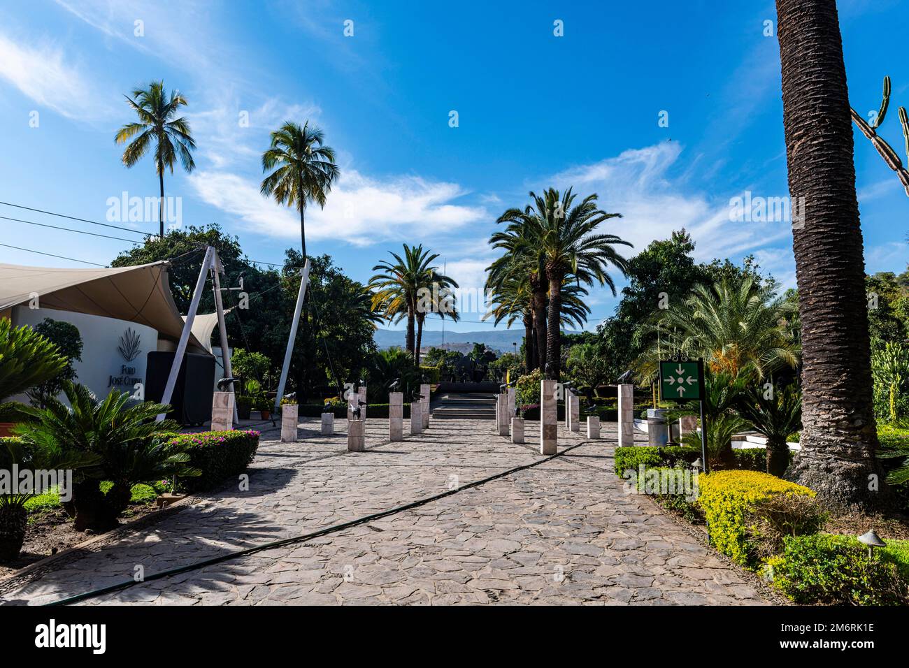 Plaza on January 24, Unesco site Tequila, Jalisco, Mexico Stock Photo Alamy