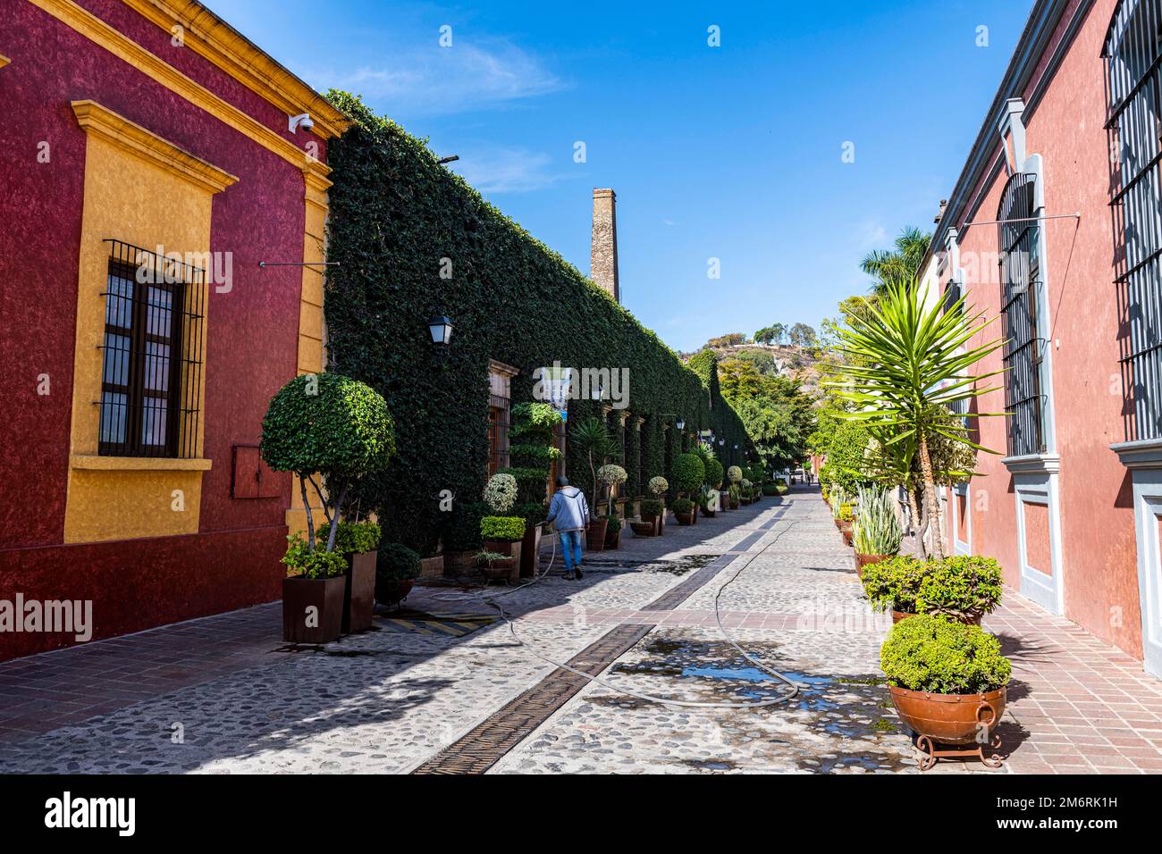 Historic buildings, Unesco site Tequila, Jalisco, Mexico Stock Photo Alamy