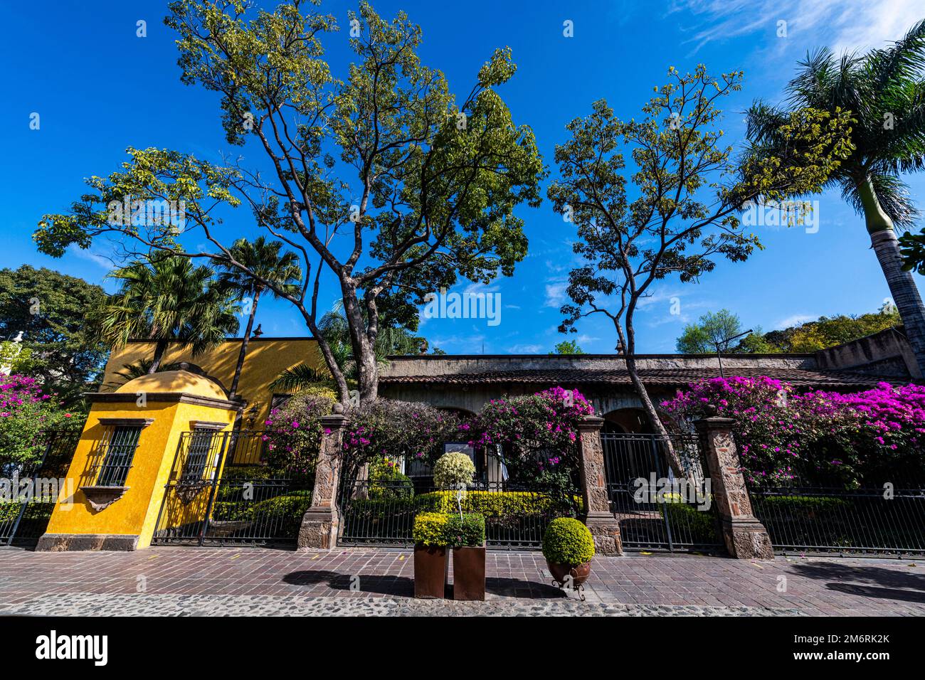 Tequila destillery, Unesco site Tequila, Jalisco, Mexico Stock Photo Alamy