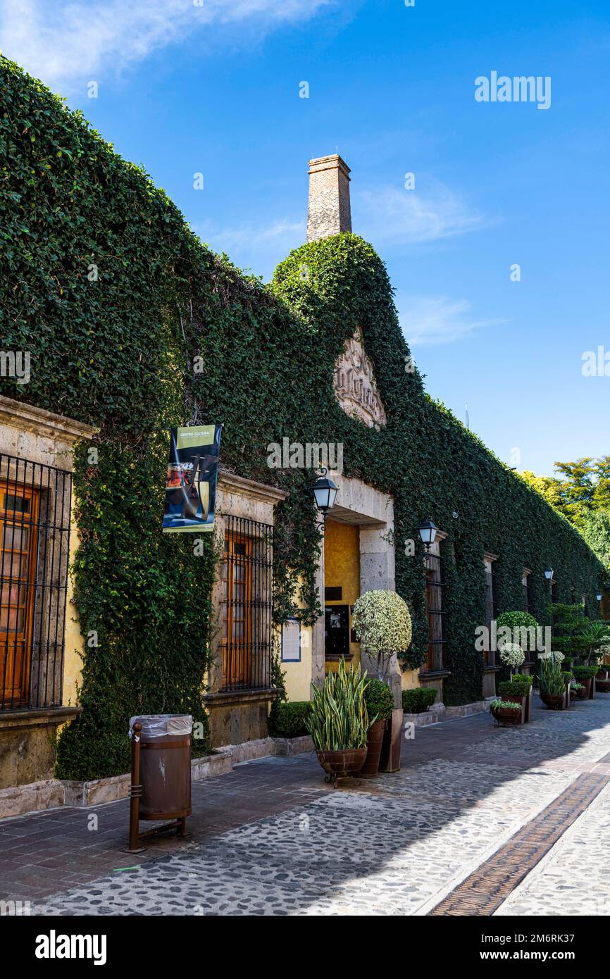 Tequila destillery, Unesco site Tequila, Jalisco, Mexico Stock Photo Alamy