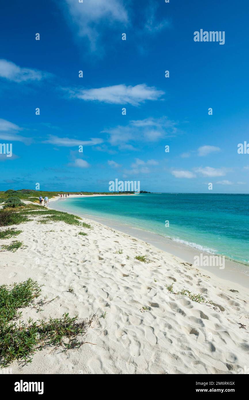 White sand beach in turquoise waters, Dry Tortugas National Park, Florida Keys, Florida, USA Stock Photo